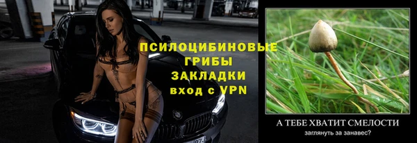 apvp Белокуриха
