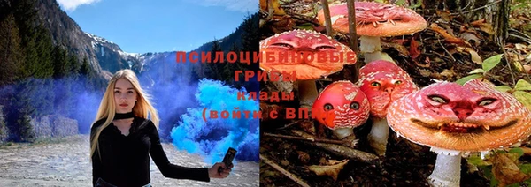 прущая мука Богданович