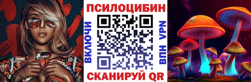 Купить где Ленинградская Галлюциногенные грибы прущие грибы
